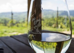 come scegliere il vino bianco